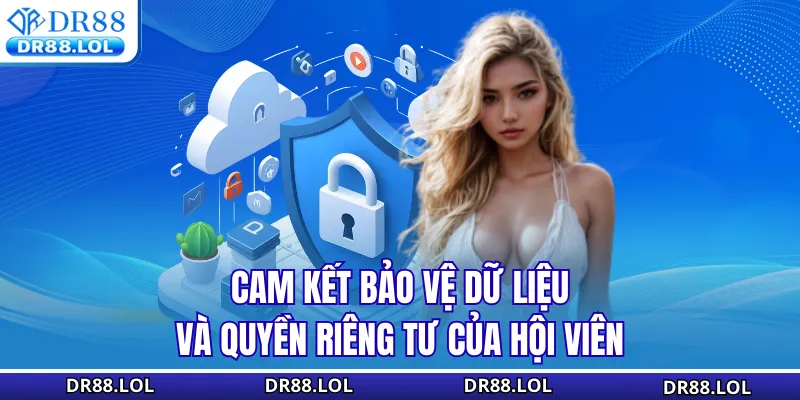Chính sách bảo mật DR88 Cam kết bảo vệ dữ liệu và quyền riêng tư của hội viên