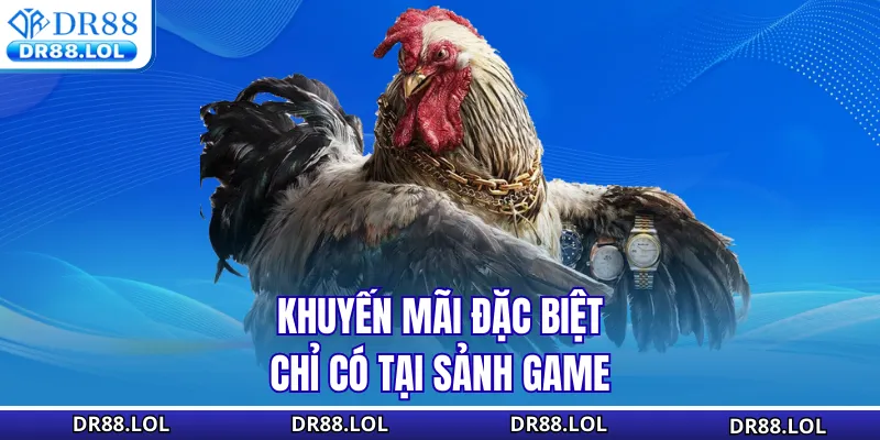 Đá Gà DR88 Khuyến mãi đặc biệt chỉ có tại sảnh game
