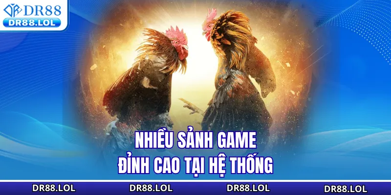 Đá Gà DR88 Nhiều sảnh game đỉnh cao tại hệ thống