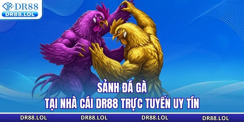 Đá Gà DR88 Sơ lược về sảnh Đá gà DR88 trực tuyến uy tín