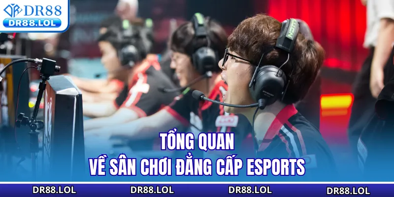 Esports DR88 Tổng quan về sân chơi đẳng cấp Esports DR88