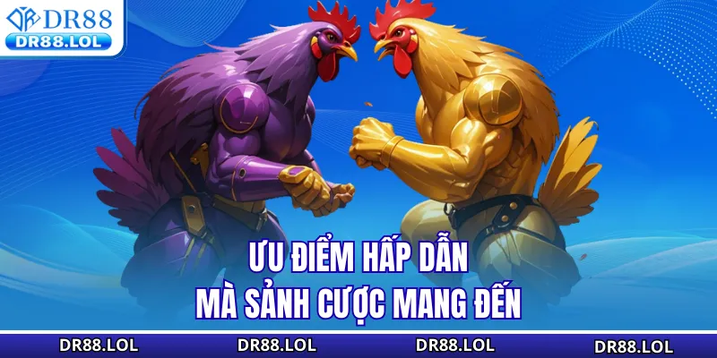 Đá Gà DR88 Ưu điểm hấp dẫn mà sảnh cược mang đến