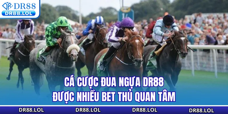 Cá Cược Đua Ngựa DR88 - Tỷ Lệ Kèo Xanh Chín Cập Nhật 24/7 Cá cược đua ngựa DR88 được nhiều bet thủ quan tâm