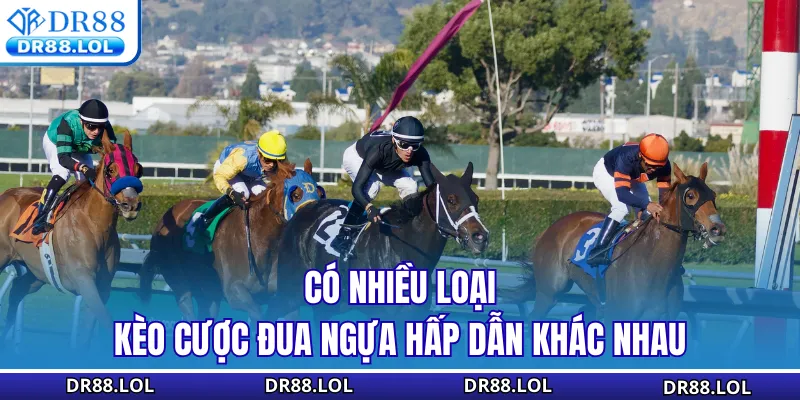 Cá Cược Đua Ngựa DR88 - Tỷ Lệ Kèo Xanh Chín Cập Nhật 24/7 Có nhiều loại kèo cược đua ngựa hấp dẫn khác nhau