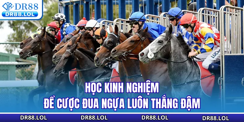 Cá Cược Đua Ngựa DR88 - Tỷ Lệ Kèo Xanh Chín Cập Nhật 24/7 Học kinh nghiệm để cược đua ngựa luôn thắng đậm