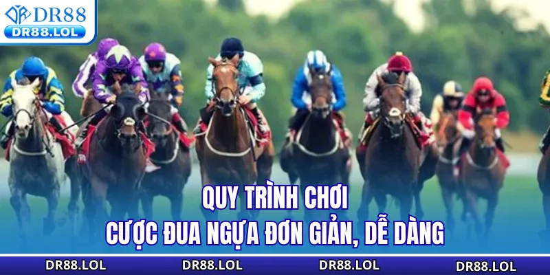 Cá Cược Đua Ngựa DR88 - Tỷ Lệ Kèo Xanh Chín Cập Nhật 24/7 Quy trình chơi cược đua ngựa đơn giản, dễ dàng